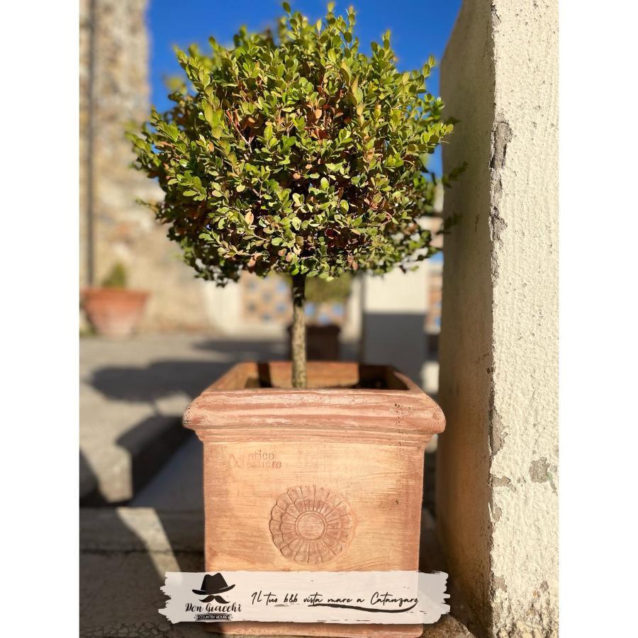 Don Giacchi Country House Καταντζάρο Εξωτερικό φωτογραφία