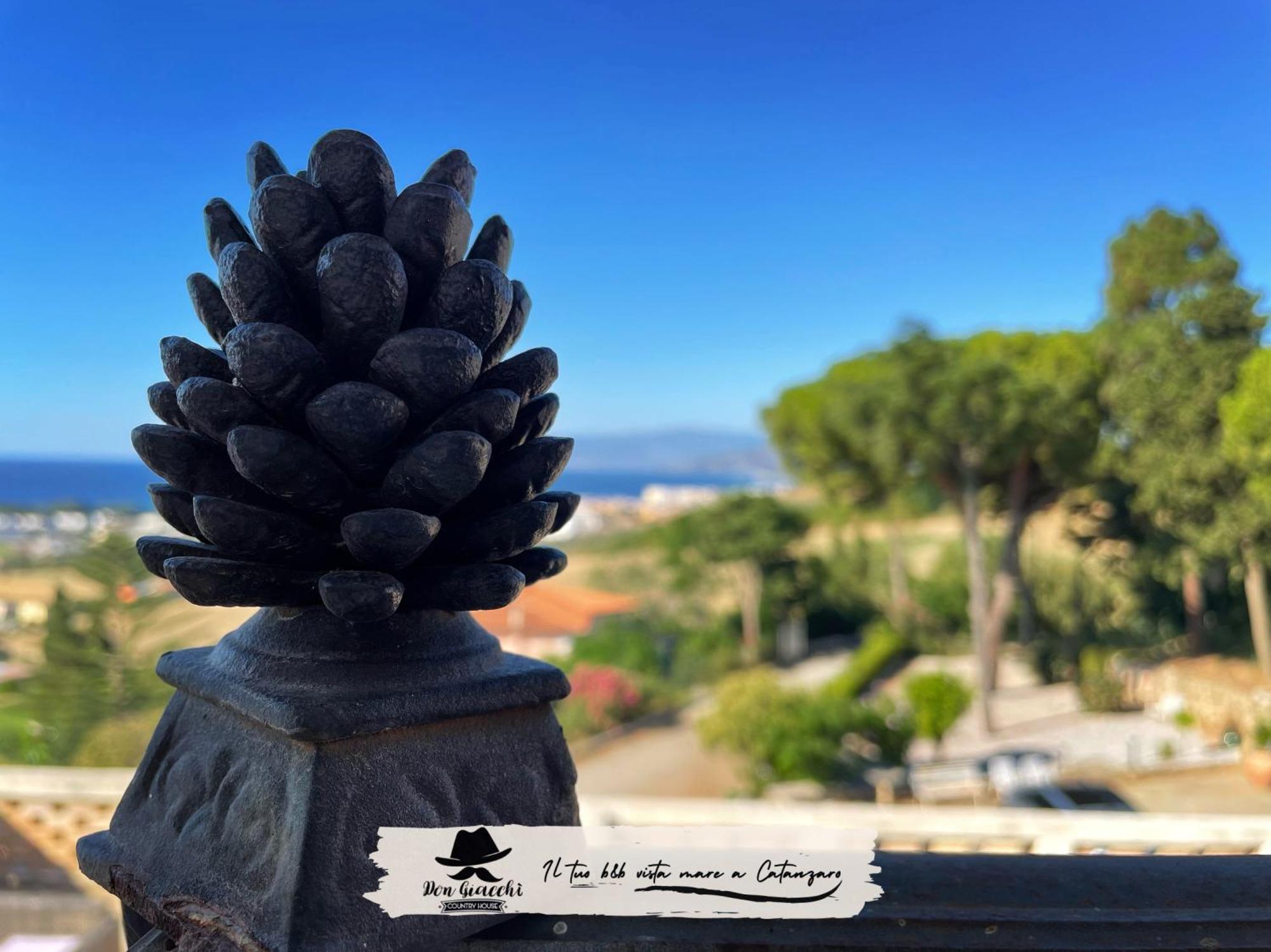 Don Giacchi Country House Καταντζάρο Εξωτερικό φωτογραφία