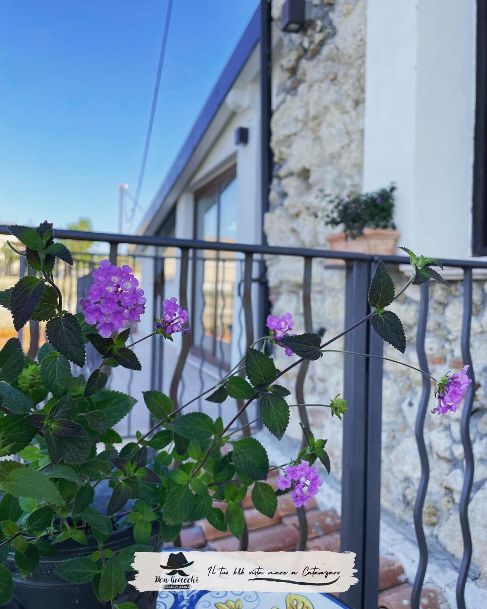 Don Giacchi Country House Καταντζάρο Εξωτερικό φωτογραφία
