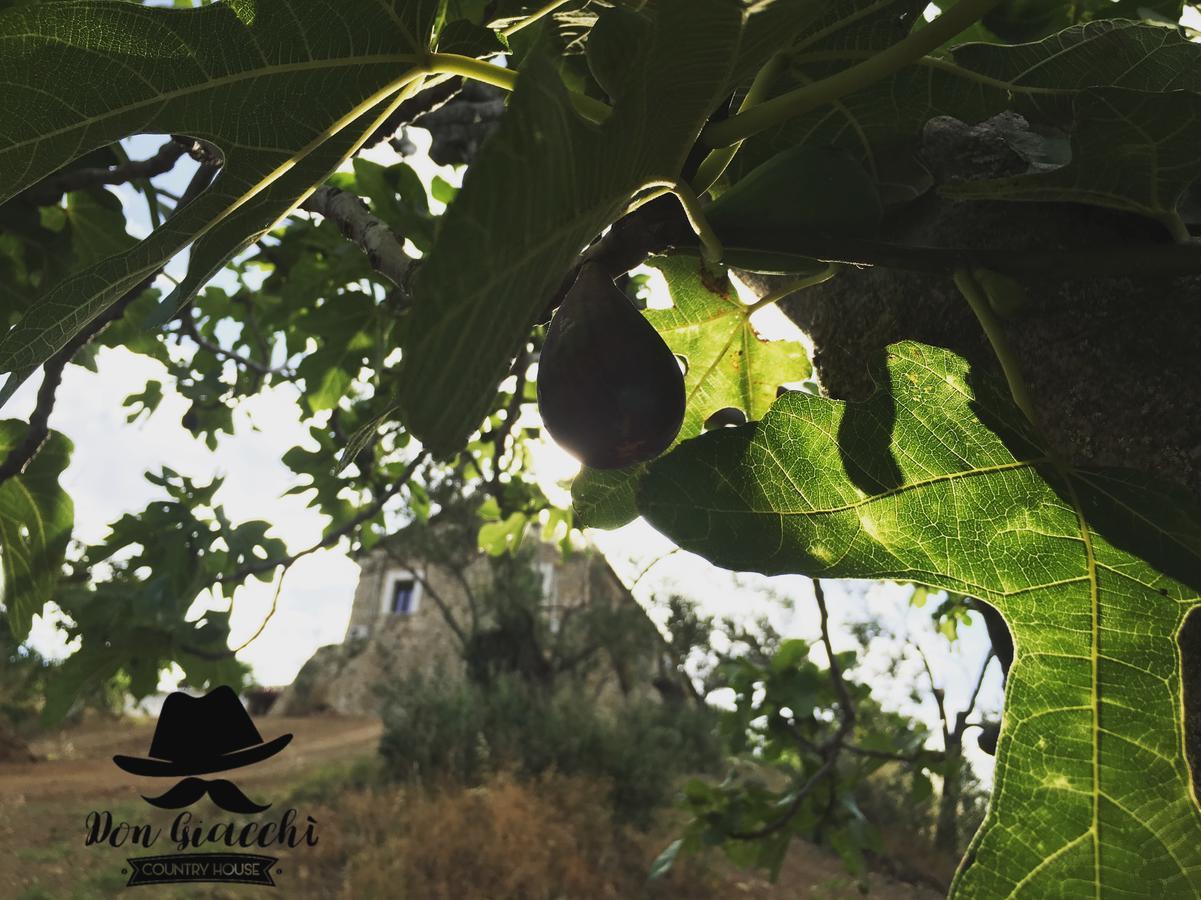Don Giacchi Country House Καταντζάρο Εξωτερικό φωτογραφία