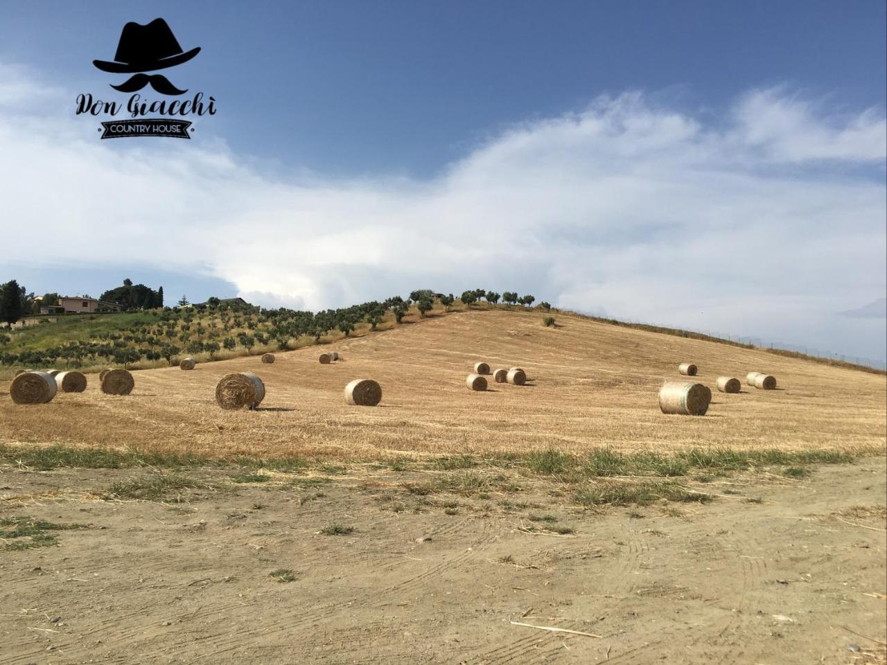 Don Giacchi Country House Καταντζάρο Εξωτερικό φωτογραφία